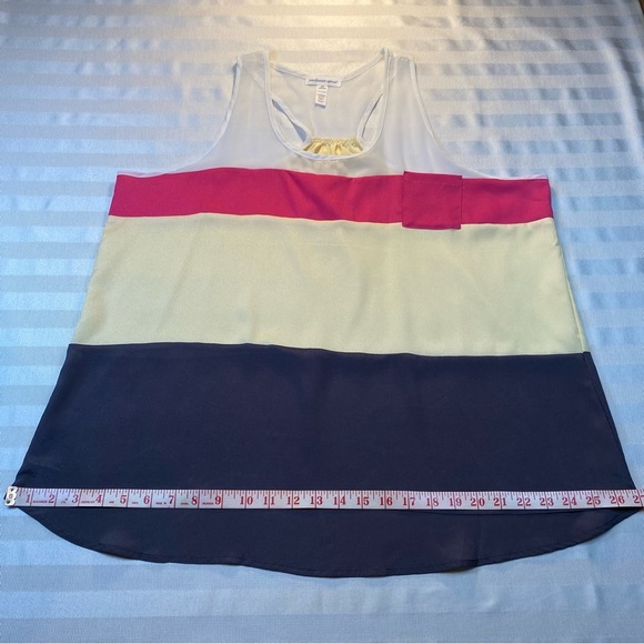 Ambiance Apparel Sz 2X Striped Racer Back Sheer Tank A-line Colorblock Top - Picture 5 of 11